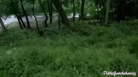 Fucking In A Public Park - Porncz