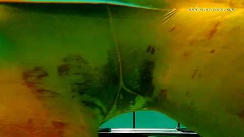 UnderwaterShow Video: Nina Markova