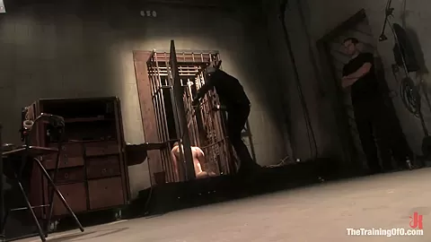 The Training of Dylan, Day Two - TheTrainingofO