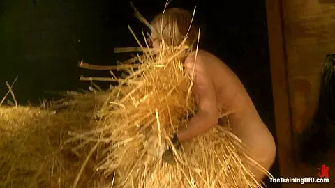 The Training of an Anal Slut, Day One - TheTrainingofO