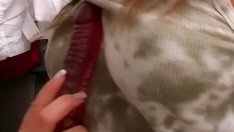 Busty teen 18+ Alexa gets slit toyed by a lesbian