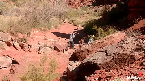 FEATURE SHOOT Hitchhiker In Trouble