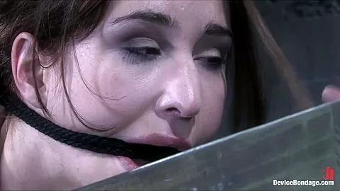 Calico in Affix - DeviceBondage