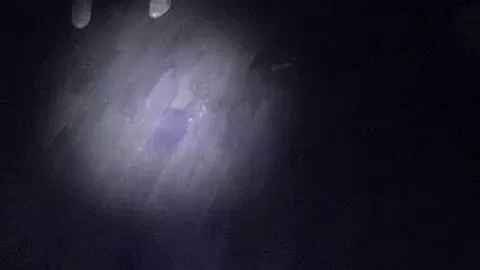 HORRORPORN - Nurses from hell