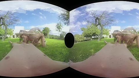The Garden Of Sex
