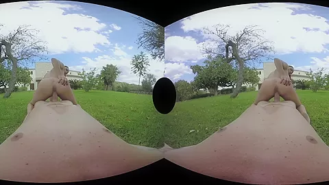 The Garden Of Sex