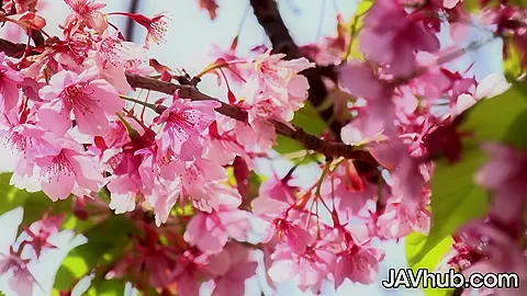 JAVHUB Mira Hasegawa wants to cheer up her friend
