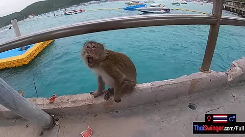 Boat trip with my Asian teen 18+ girlfriend became sex in public