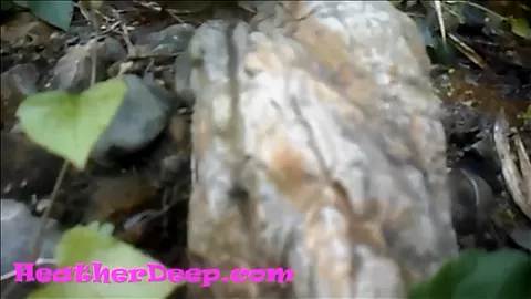 HD Heather Deep gets creampie on quad in river jungle