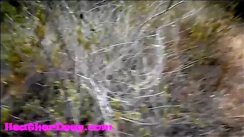HD Heather Deep jungle abondon house blowjob