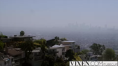 VIXEN Hot Young Curator Fucks Art Collector