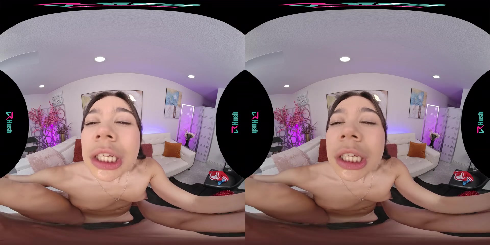 Brianna Arson & Austin Pierce - VR Porn Video