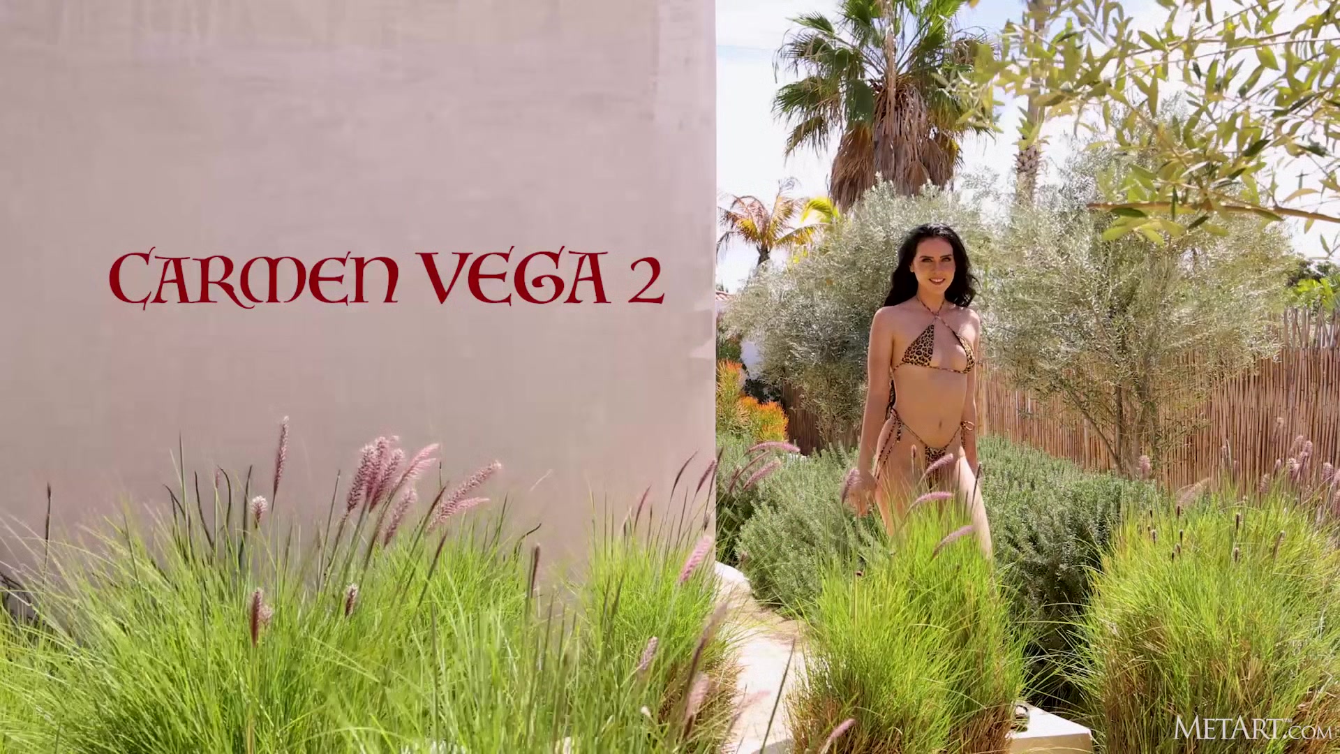 Carmen Vega 2 - Carmen Vega