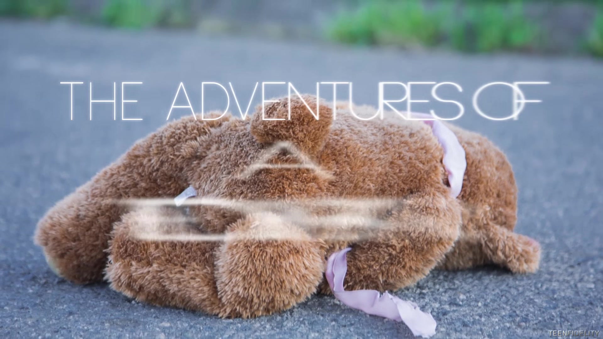 Aventures of Teddy Bear 2 - Starring: Carmen Callaway