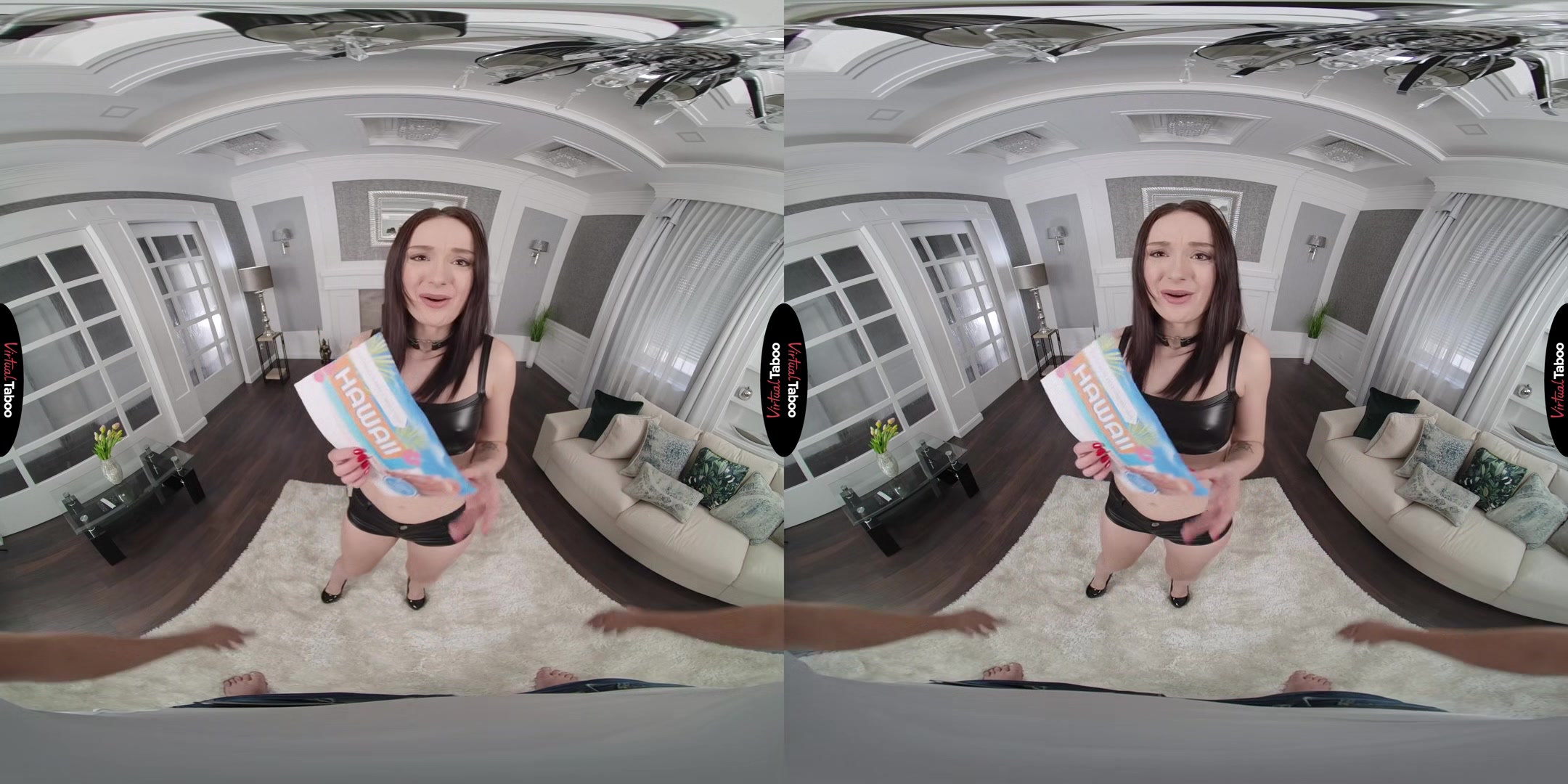 Alice Drake VR Porn: Ticket To Her Vagina - VirtualTaboo