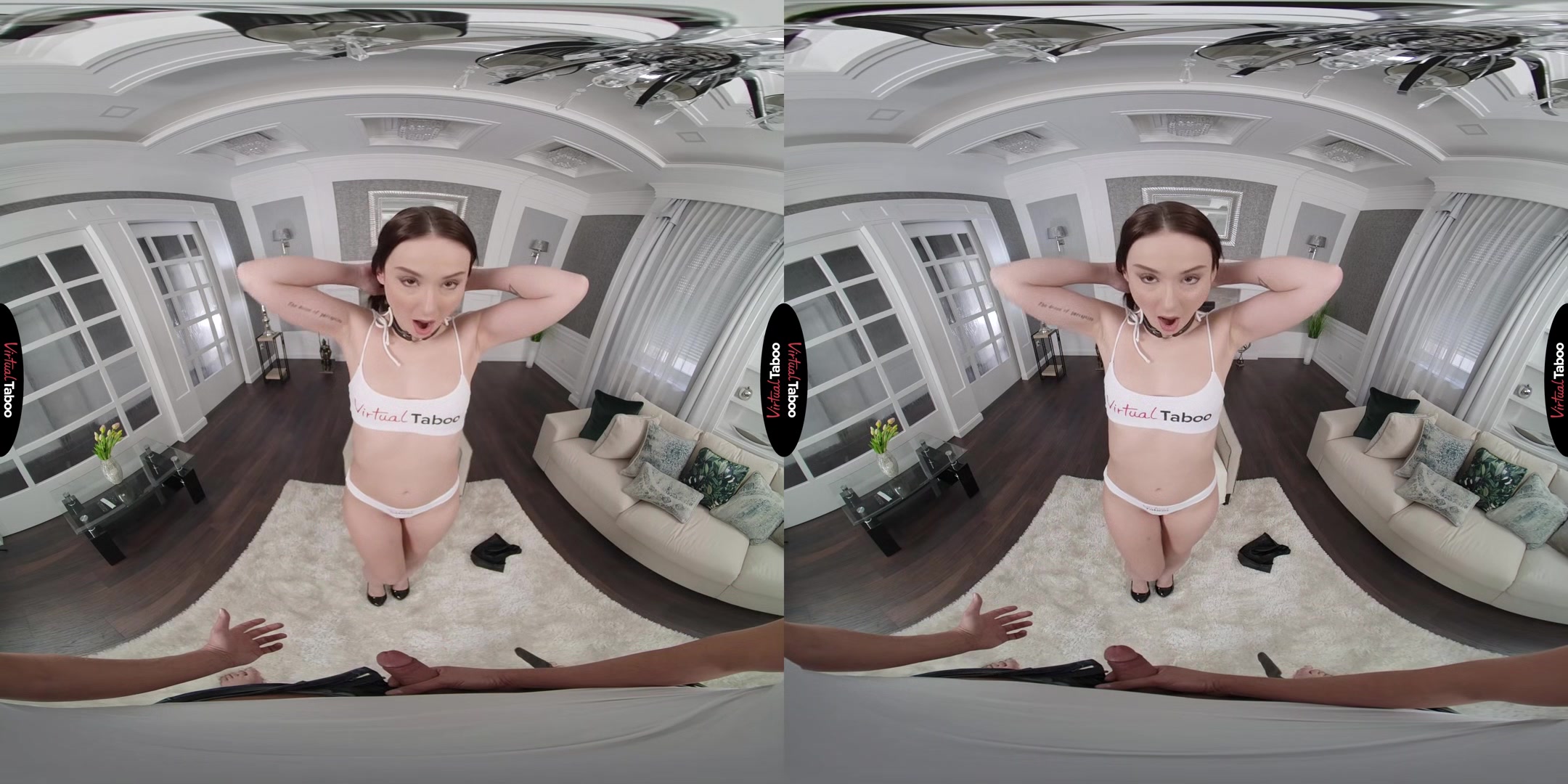 Alice Drake VR Porn: Ticket To Her Vagina - VirtualTaboo