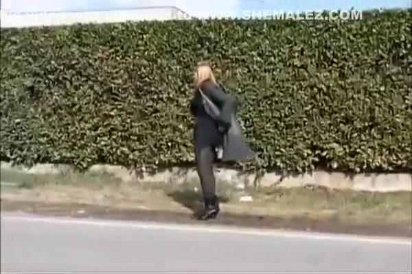 Tranny Hooker