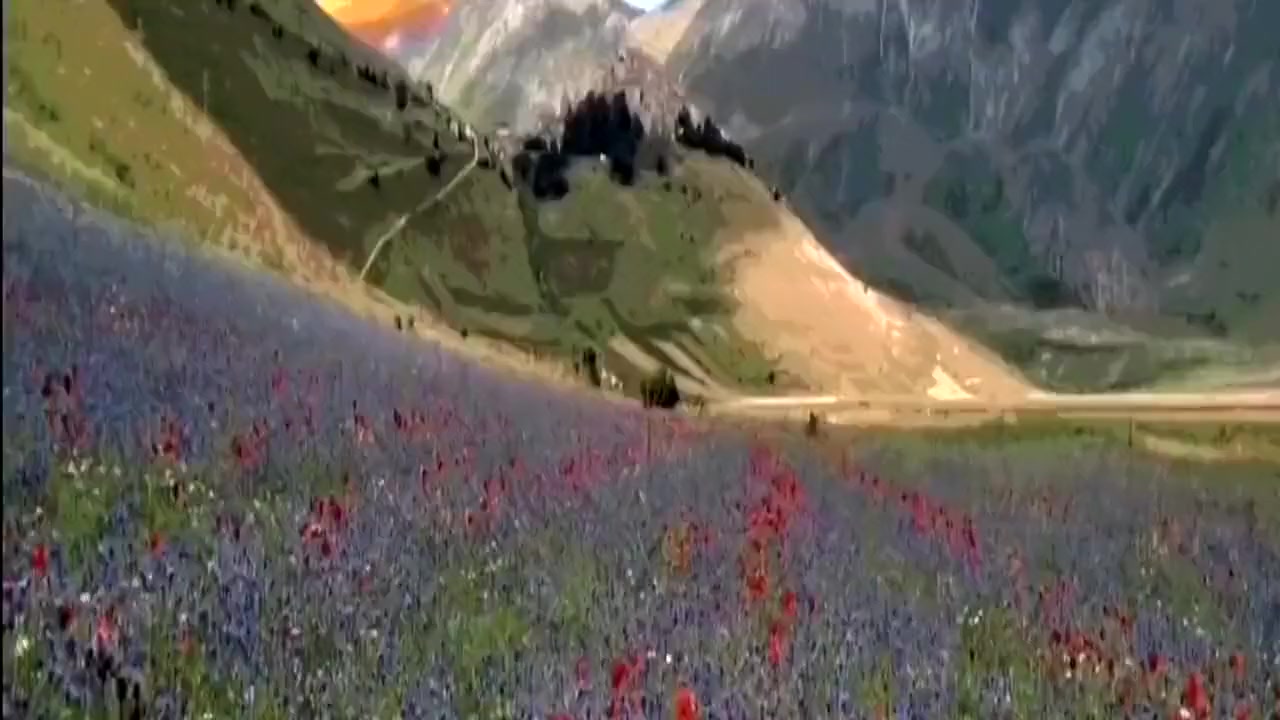 Shemale Video Top