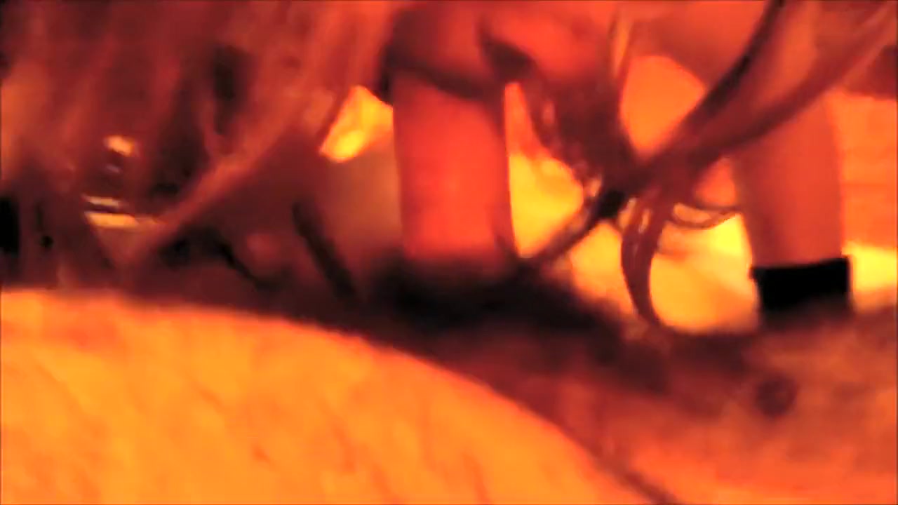 Mina takes cum in mouth