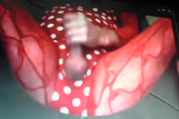 My favorite cd stroking it for me so hot