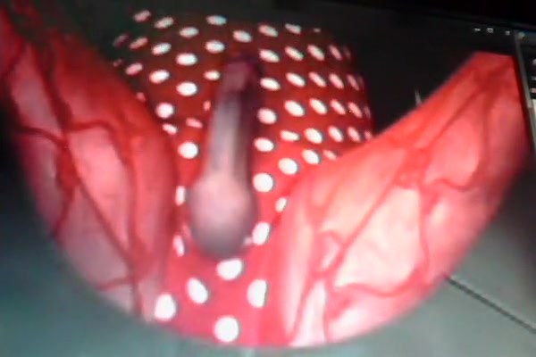 My favorite cd stroking it for me so hot