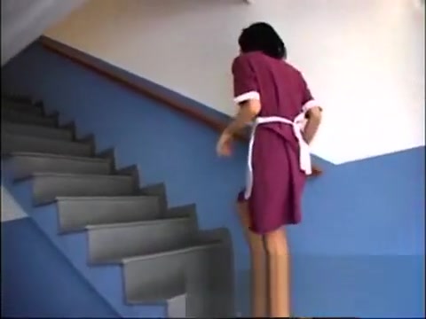 shelady Maid