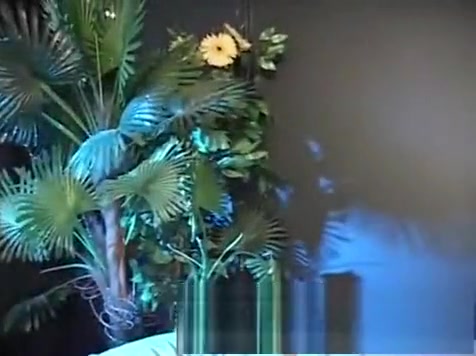 Brazilian shemale plowed By A hot guy