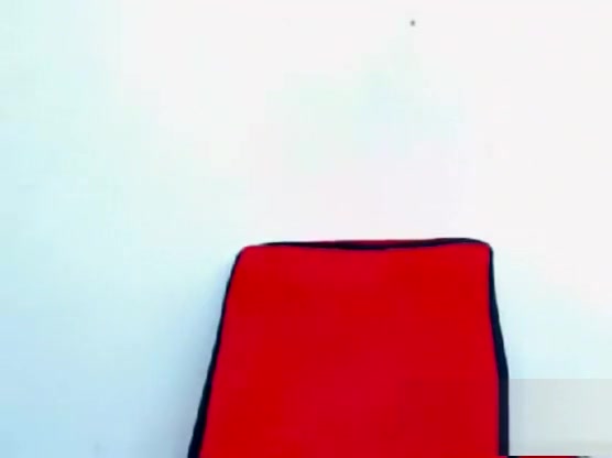 SHSR cam