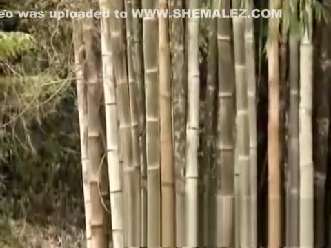 filthy Latin boy poked By shelady