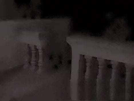 Romantic Outdoor Sex In The Evening