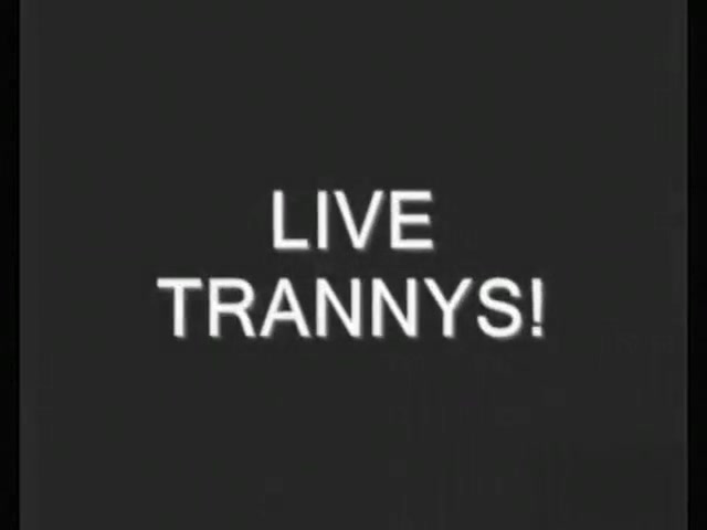Lebian tranny engulf And plow