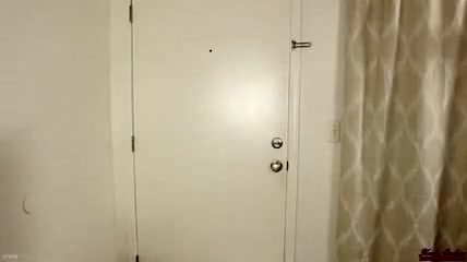 those Tbabes Have A Great Time - AShemaletube.com