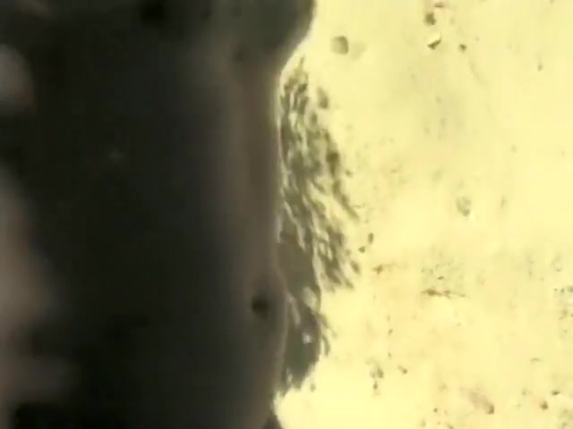 Little Red Riding penis - Gentlemens clip
