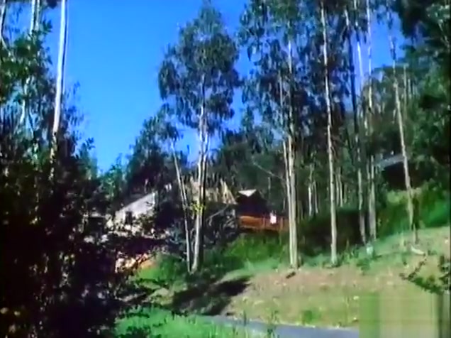stunning Stgreetingss guy Males Of Brazil 03 - Scene 4
