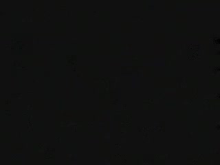 charming Trans action 3