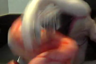 My favorite toys Love Me Tender