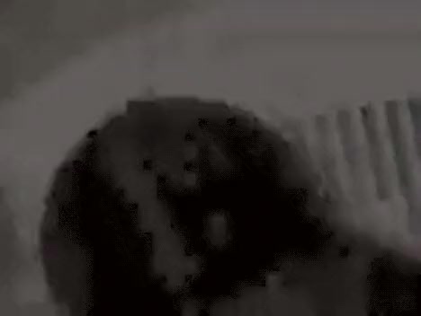 Very sleazy Latin shemale screwing