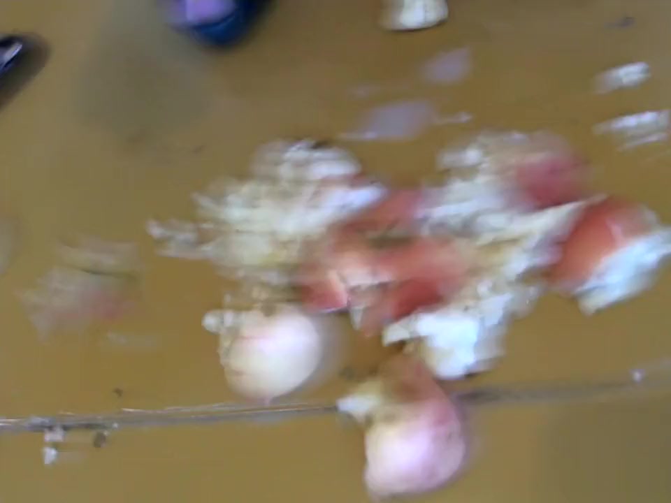 Big cock shemale crushing and jercking off. HUGE load.