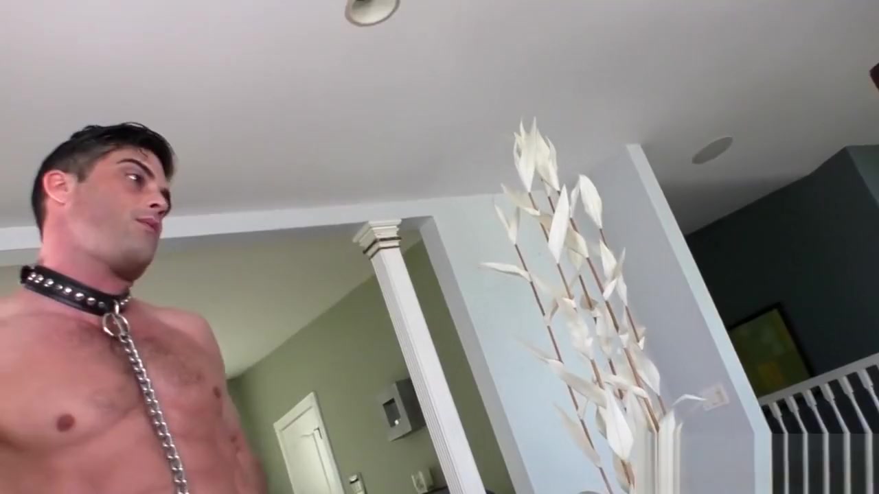 Shemale fucks guys hole