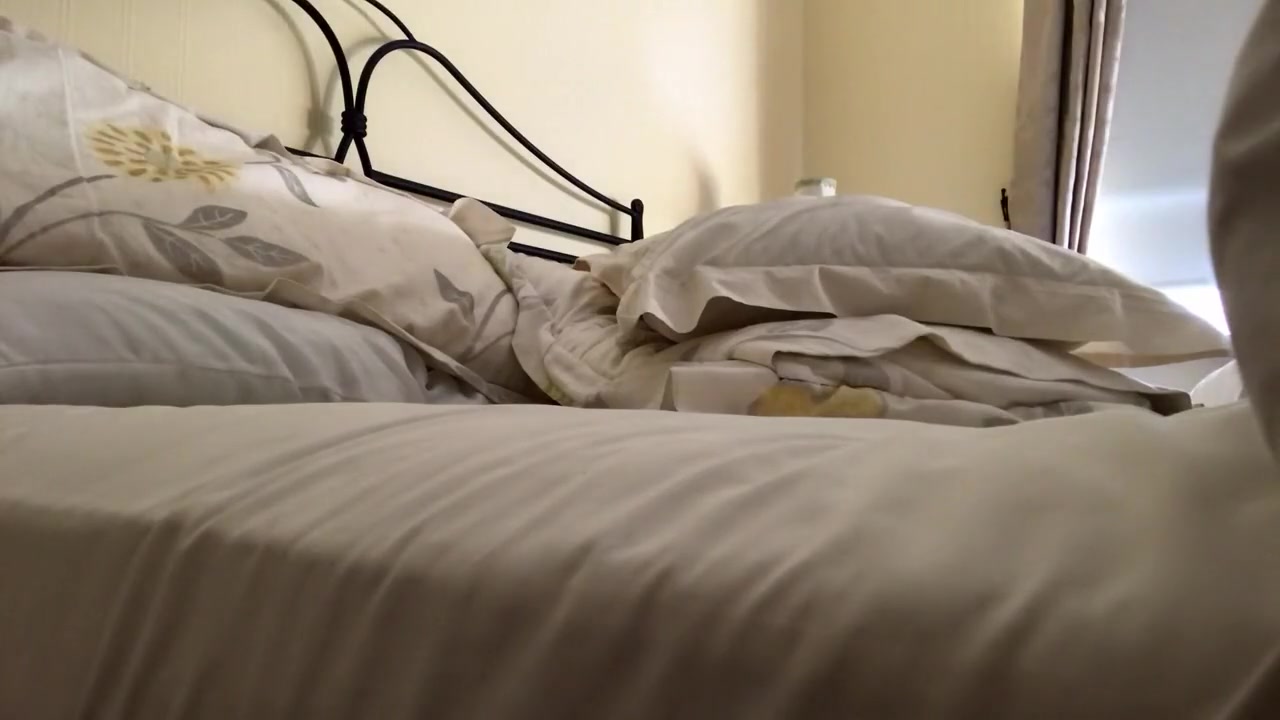 Pillow Humping