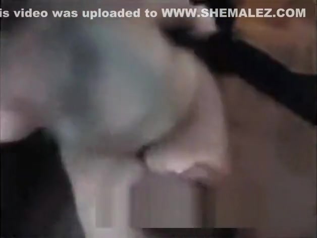 Amateur Shemale (44)