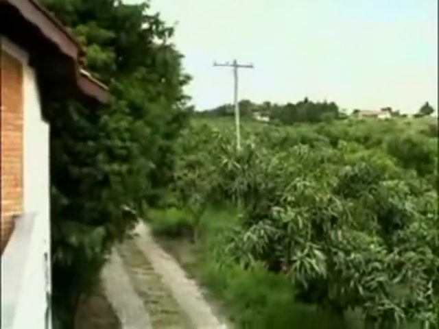 Shemale Cums No Touch Blooper