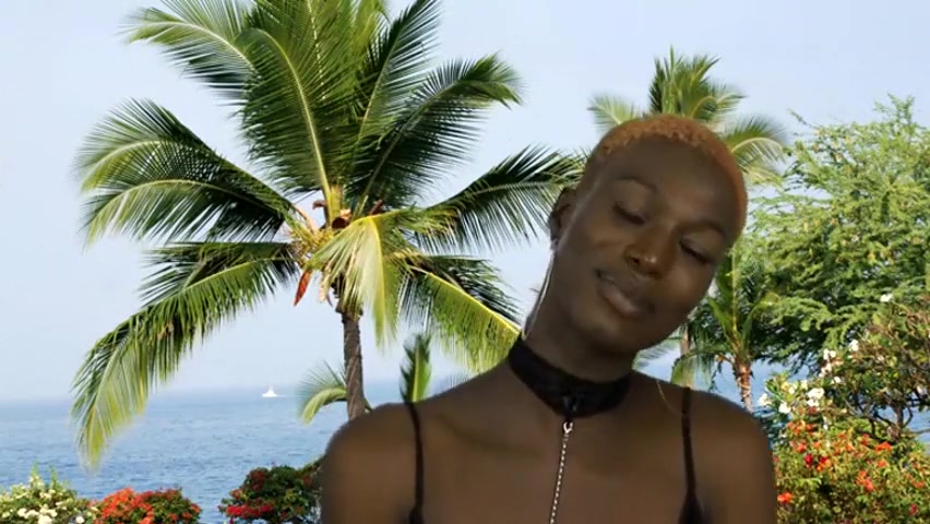 Traci Striptease