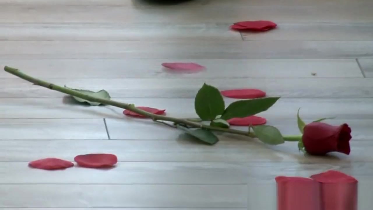 Romanced shemale sucks