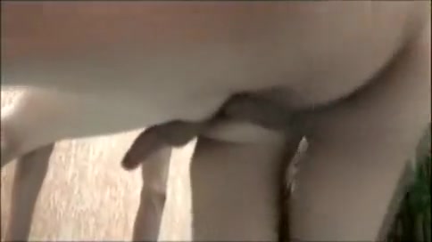 soaked Mutual arse plowling Scene