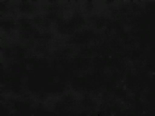 Different Sthis manmale\'s Teasing A camera