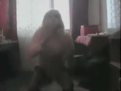 CD dance for you