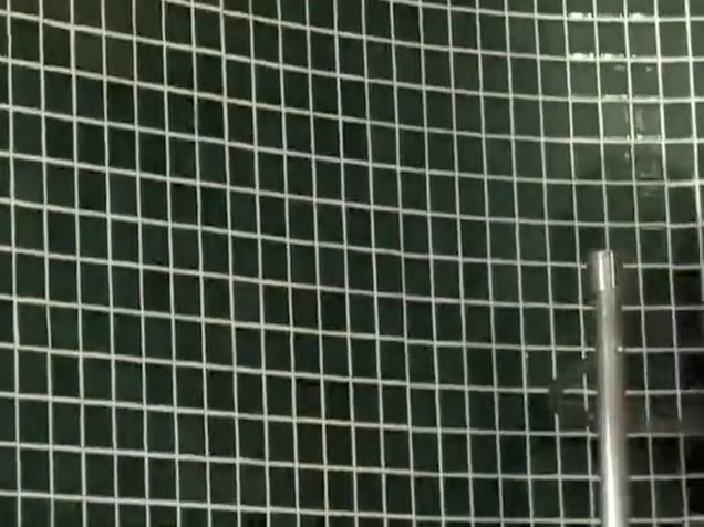 Fucking A Shemale Beauty