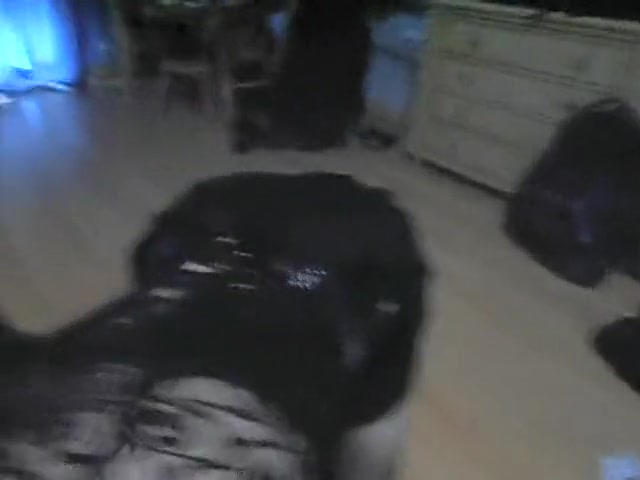 Patricia used again by Maxo