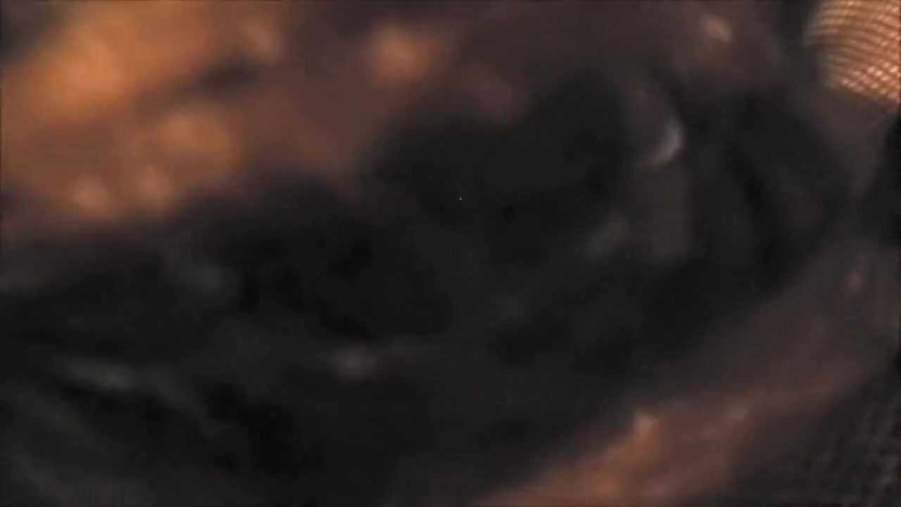 Jamie sucking cock